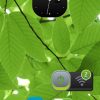 Symbian Belle (7)