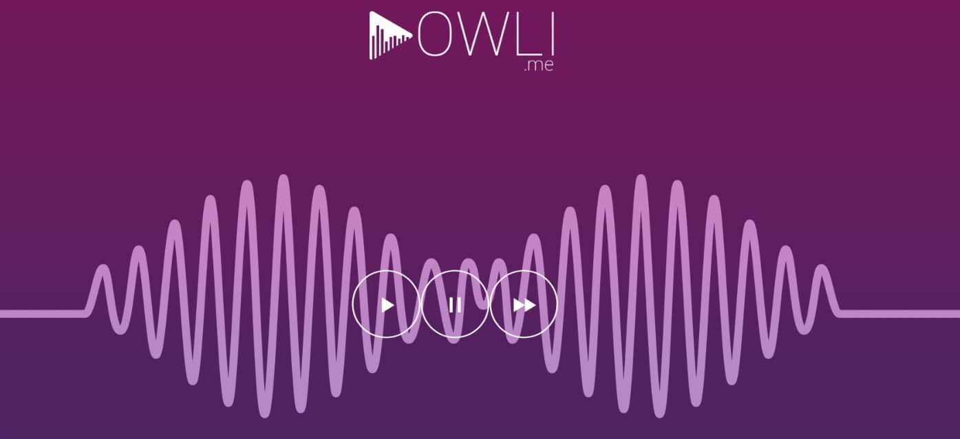owli 1